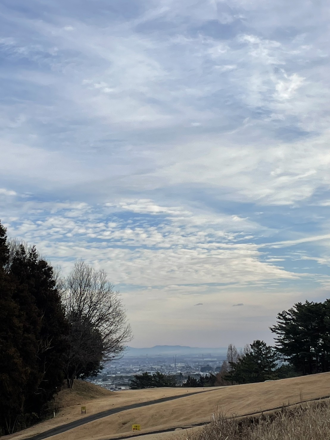 S__5898249.jpg