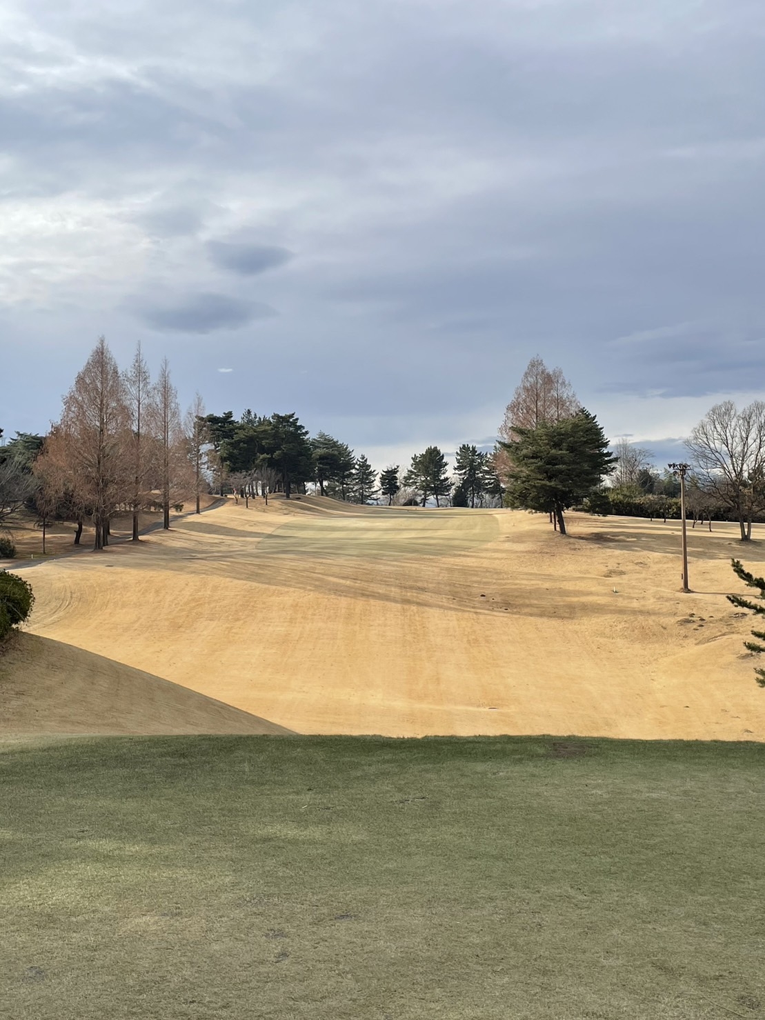 S__5898251.jpg